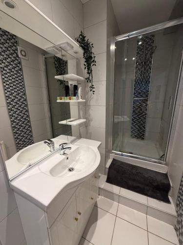 Un baño blanco con lavabo y ducha en Appartement 6 personnes, en Vierzon