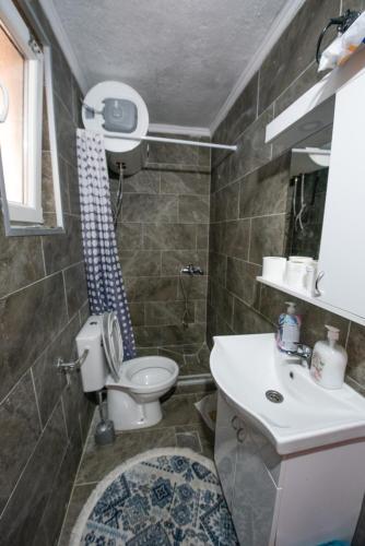 a bathroom with a toilet and a sink at 1971 Apart in Gusinje