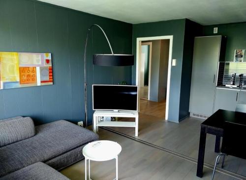 TV a/nebo společenská místnost v ubytování Comfortable apartment in Oslo with three bedrooms