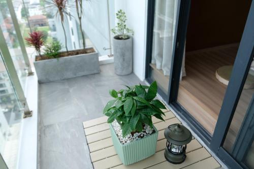 a balcony with potted plants on the floor at Căn hộ du lịch tại Huế in Thôn Văn Dương