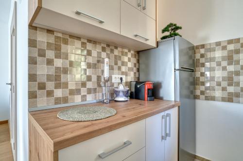 a kitchen with a counter and a refrigerator at Vila Jezero 2 in Žabljak