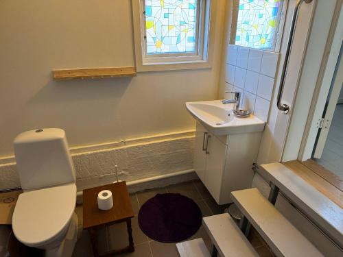 Koupelna v ubytování Hus Blommenshöns