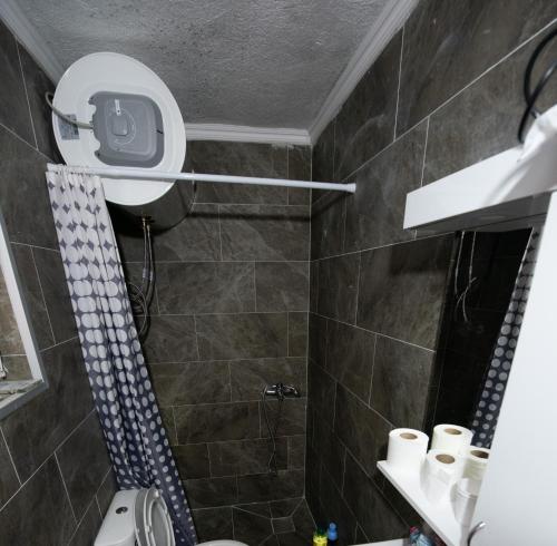 a bathroom with a shower and a toilet and a mirror at 1971 Apart in Gusinje