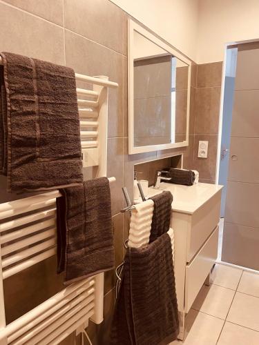 une salle de bain avec un lavabo, un miroir et des serviettes dans l'établissement Le Félicité appartement spacieux avec parking, à Nîmes