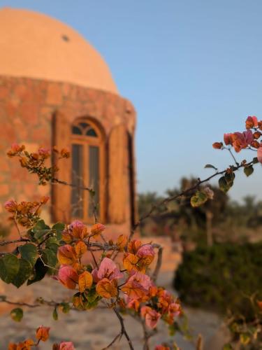 a building with a window and flowers in front of it at Siwa Salt Lake Lodge in Siwa