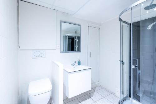 une salle de bain blanche avec toilettes et douche dans l'établissement M30 Marquer Agréable T2 centre ville, à Annemasse