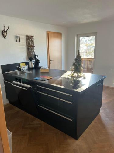 Kuchyň nebo kuchyňský kout v ubytování Am Stadtpark