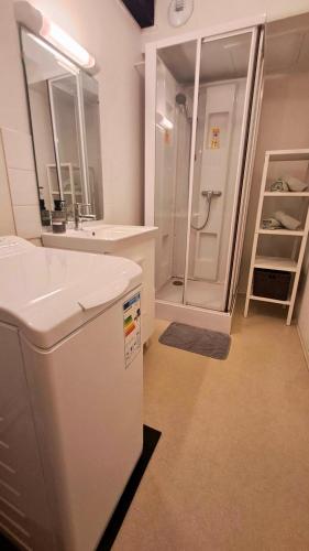une salle de bain blanche avec un lavabo et une douche dans l'établissement Studio Cosy Rennes Hypercentre Ville, à Rennes