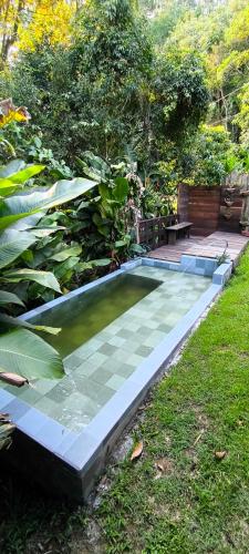 a swimming pool in the middle of a garden at Cabana na cachoeira do 18 in Gravatal