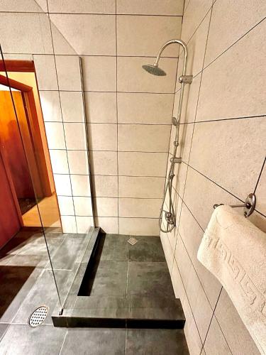 a shower with a glass door in a bathroom at Hotel Green House in Craiova