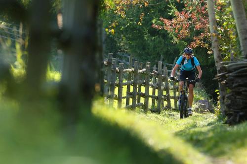 a person riding a bike down a trail at Hotel Waldruhe in Gsies