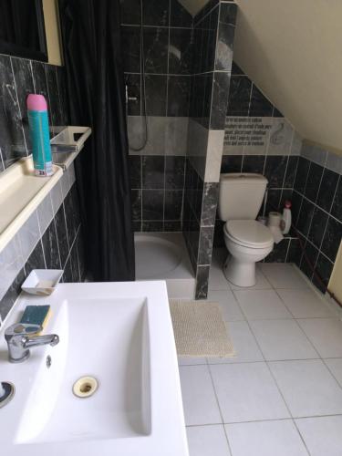 a bathroom with a sink and a toilet at Appart 3 sous combles in Bray-Dunes