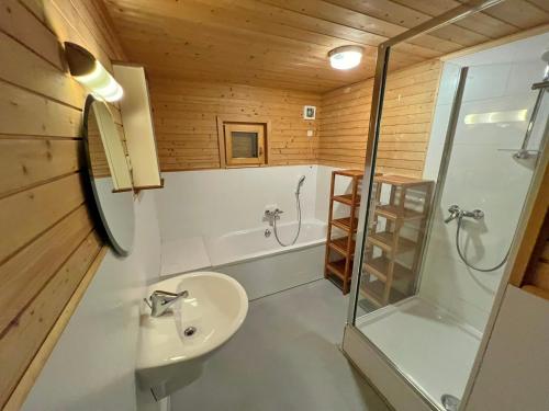 ein Badezimmer mit Waschbecken, Dusche und Toilette in der Unterkunft La Grande Ourse in Durbuy