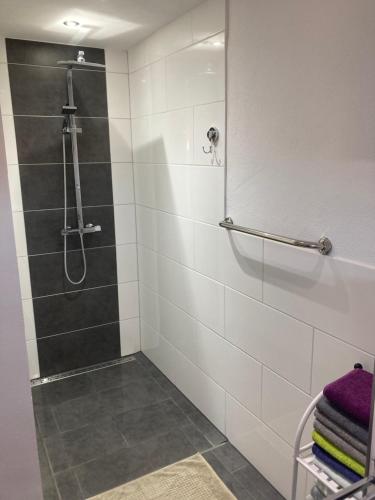 a bathroom with a shower with a glass door at Ferienhaus Katharina in Wehningen