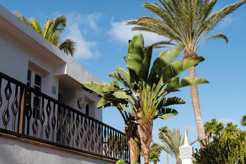 a balcony with palm trees in front of a house at Plus Fariones Apartamentos in Puerto del Carmen