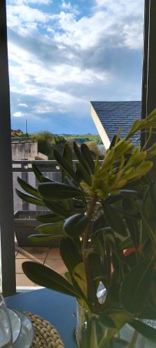 a plant in a vase sitting on top of a table at Mirador de Usil in Mogro
