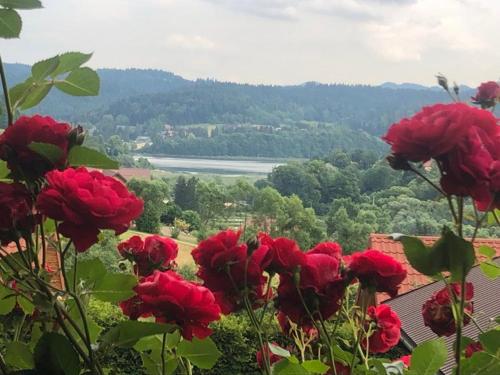 a group of red roses in front of a view at Solina - Jezioro Solińskie - Domki in Wołkowyja