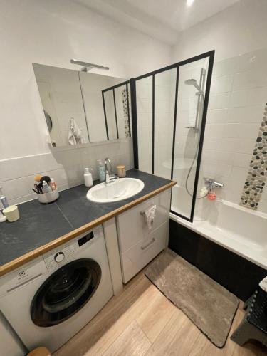 une salle de bain avec une machine à laver et un lavabo dans l'établissement Bel appartement 70m2 Le Cannet vue mer, au Cannet