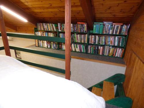 a room with several shelves filled with dvds at Apartmány za Plotem in Jeseník