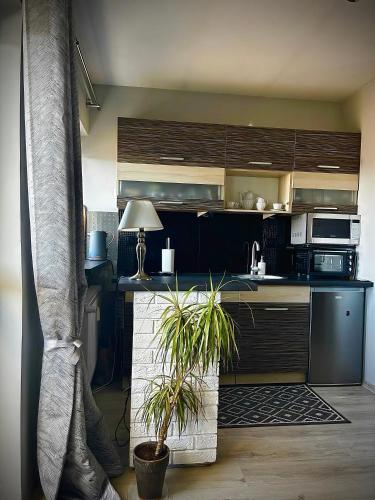 Η κουζίνα ή μικρή κουζίνα στο Piastowska Home