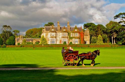 a horse drawn carriage in front of a large house at 19th Green Guesthouse in Killarney
