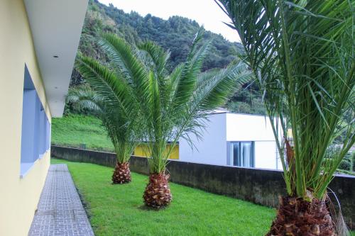 two palm trees in a yard with a building at Waterfall House in Faial da Terra