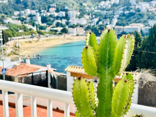 Global Immo 3266 EL SOL 29