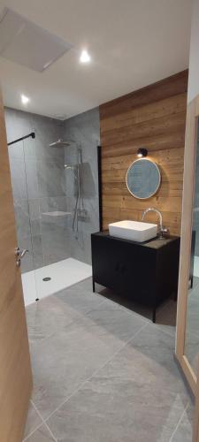 une salle de bain avec un lavabo et une douche avec un miroir dans l'établissement Appartement au cœur de la forêt au calme et proche des pistes et des commodités, à Bolquère-Pyrénées 2000