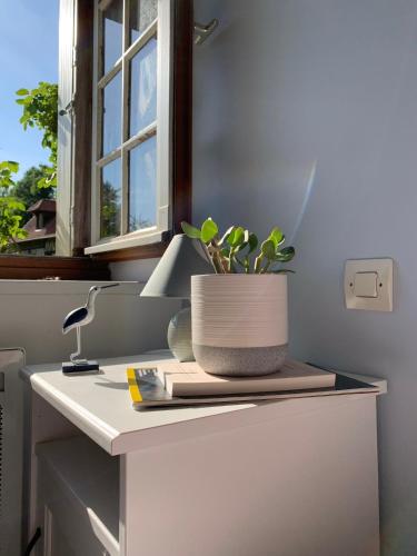 une usine installée au-dessus d'un comptoir de cuisine dans l'établissement Petite maison et grand jardin Wifi Mer a 20 minutes, à Royville