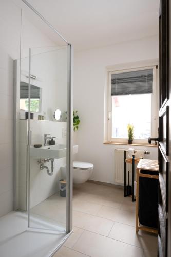 a bathroom with a shower and a sink and a toilet at Ferienanlage Zum Silberstollen 2 Häuser am Berg Polderhof und Weißeritzhütte in Kurort Altenberg