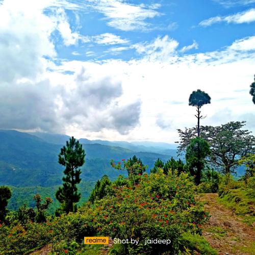 a view of a hill with trees and mountains at Rameshwari Homestay in Lansdowne