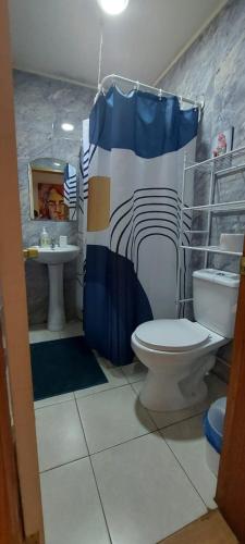 a bathroom with a toilet and a shower curtain at Refugio en la ciudad in Pucón