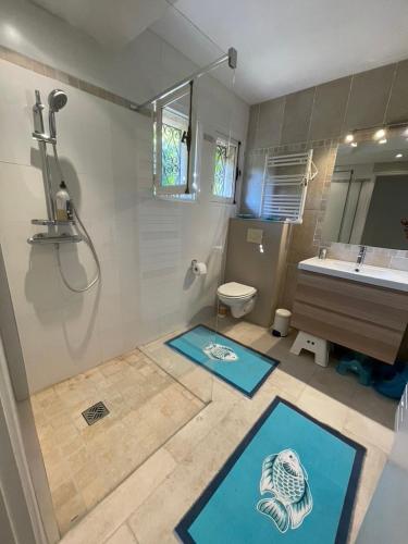 une salle de bain avec une douche, un lavabo et des toilettes dans l'établissement RDC Villa grand jardin, piscine chauffée, jacuzzi, à La Croix-Valmer