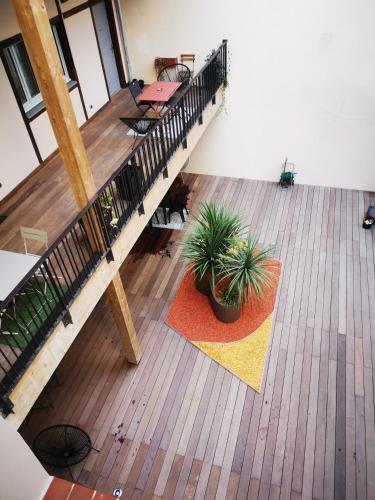 une vue de tête sur une terrasse en bois avec deux plantes dans l'établissement Bel appartement sous les toits de Toulouse-Central-Climatisé-, à Toulouse