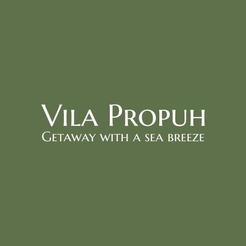Vila Propuh Primošten