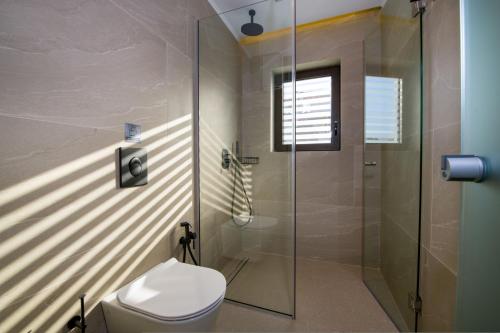 a bathroom with a toilet and a glass shower at Almi-Cove Hilltop Villas in Almirida