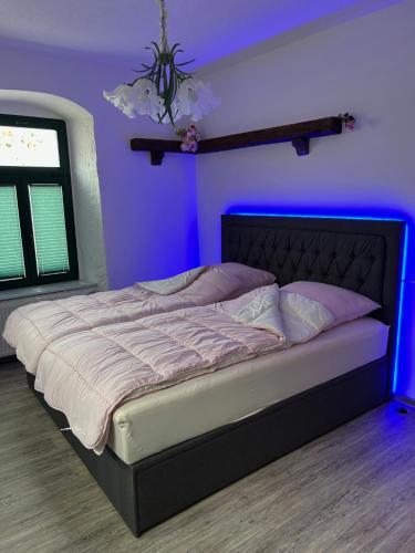 a bedroom with a bed with a purple wall at RosenSuite SGH in Sangerhausen
