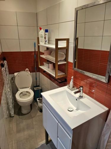 ein Badezimmer mit Waschbecken und Toilette in der Unterkunft la petite maison in Céreste