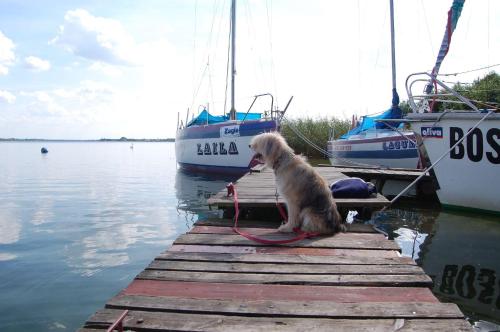 Imagen de la galería de Domek Spokojna Przystań, en Przybrodzin
