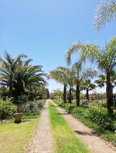 a dirt road with palm trees on either side at Timeless at Rusticana in Klapmuts
