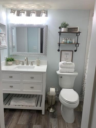 a bathroom with a sink and a toilet and a mirror at Ocean Pointe Resorts - Serenity 2308 in Tavernier