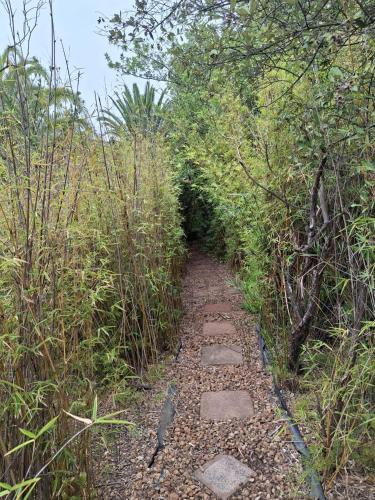 a path in the middle of a field at Timeless at Rusticana in Klapmuts