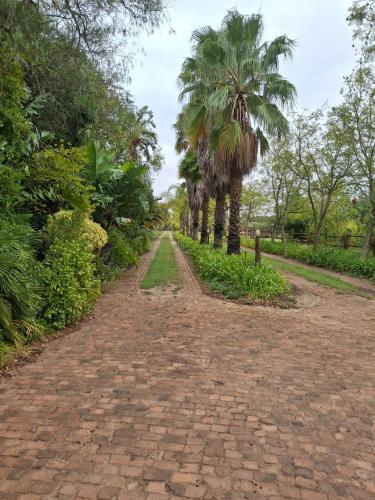 a brick road with palm trees in the distance at Timeless at Rusticana in Klapmuts