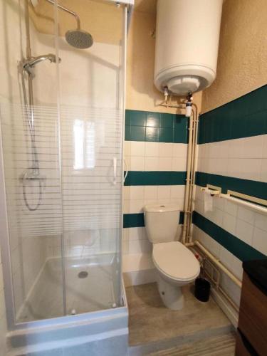 une salle de bain avec toilettes et douche en verre dans l'établissement T2 Duplex avec Terrasse vue Cathédrale, à Narbonne