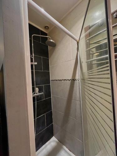 a bathroom with a shower with a glass door at FactoryLoftCosy Gare à 5mins in Bellegarde-sur-Valserine