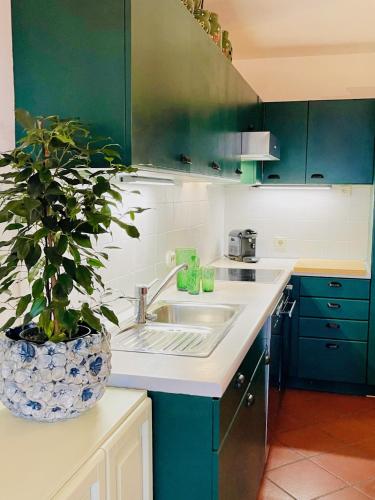 a kitchen with a sink and a potted plant at Apartment in South Tyrol with a beautiful panoramic view in Verano
