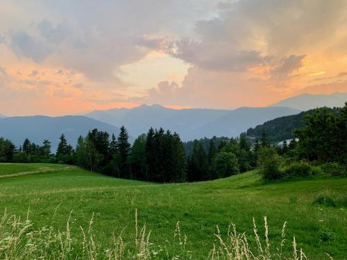 a green field with mountains in the background at Apartment in South Tyrol with a beautiful panoramic view in Verano