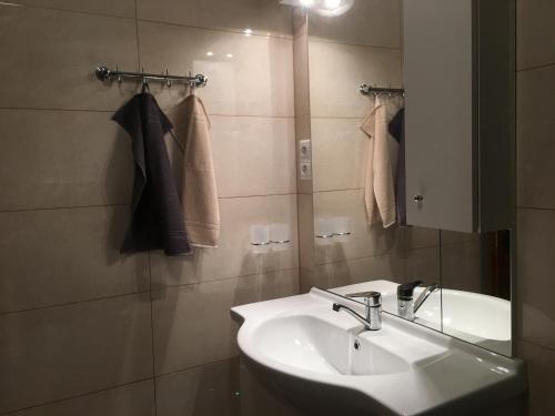 un baño con lavabo y espejo en Villa Manatt, en Stará Lesná