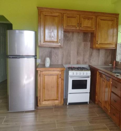 a kitchen with a stainless steel refrigerator and wooden cabinets at Belledezvous Accommodations in Grand Anse