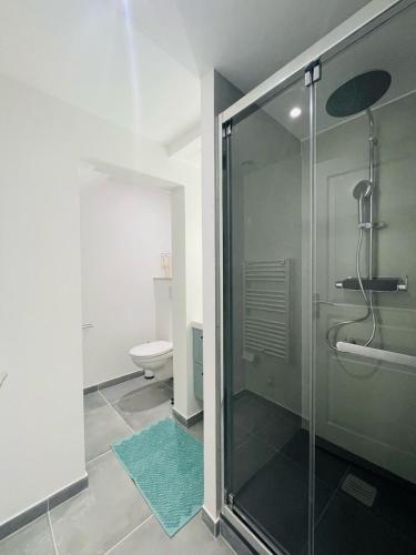 une salle de bain avec une douche en verre et des toilettes dans l'établissement Éclat St Romain n1, 6 pers, moderne, wifi, parking, proche vienne, à Saint-Romain-en-Gal